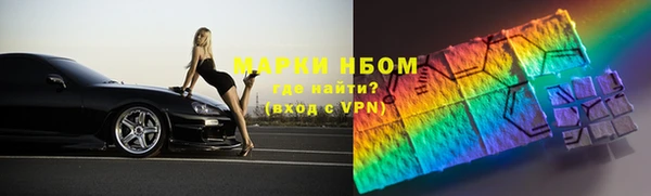 крисы Баксан