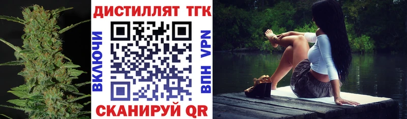 закладки  Шенкурск  ТГК концентрат 