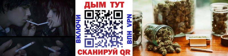 Шишки марихуана семена  OMG рабочий сайт  Шенкурск 